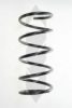 SPIDAN 56441 Coil Spring